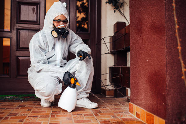 Reliable Bed Bug Control contractor in Lauderdale Lakes, FL by Nex Pest Control