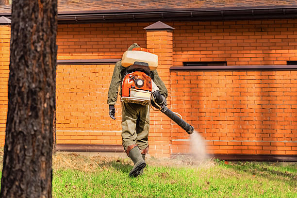 Trusted Mosquito Control service in Lauderdale Lakes, FL - Nex Pest Control